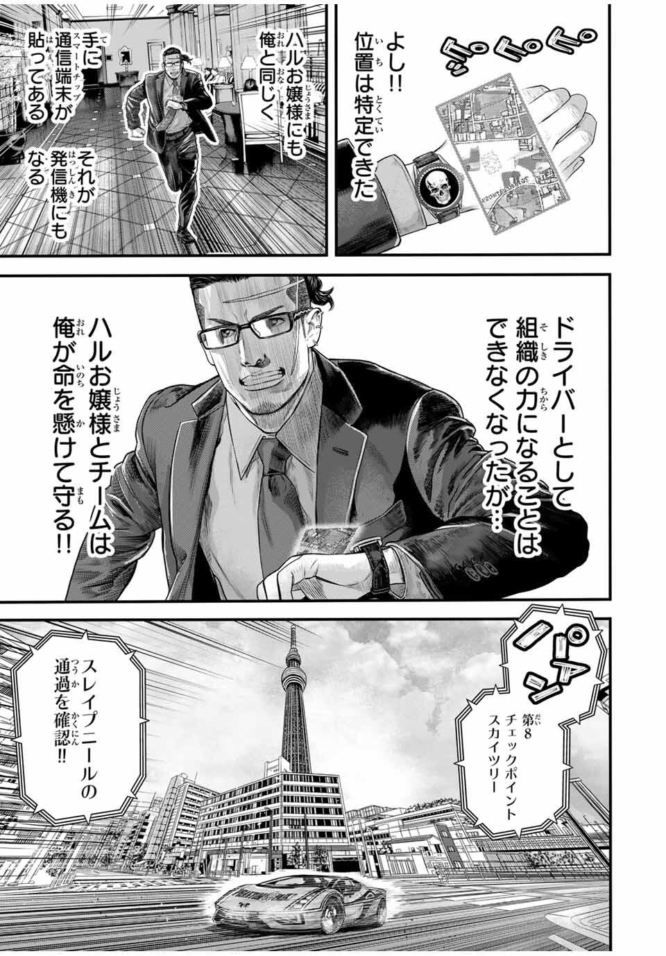 17.jpg
