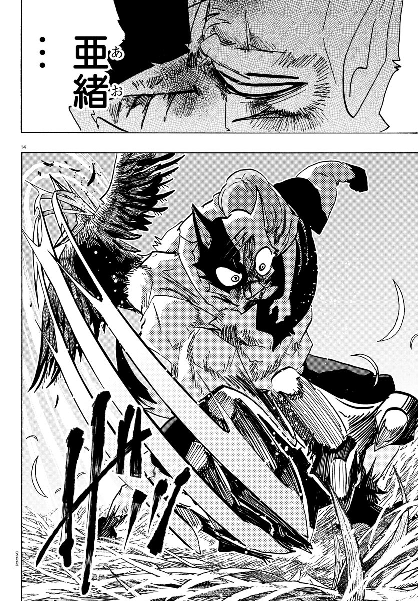 14