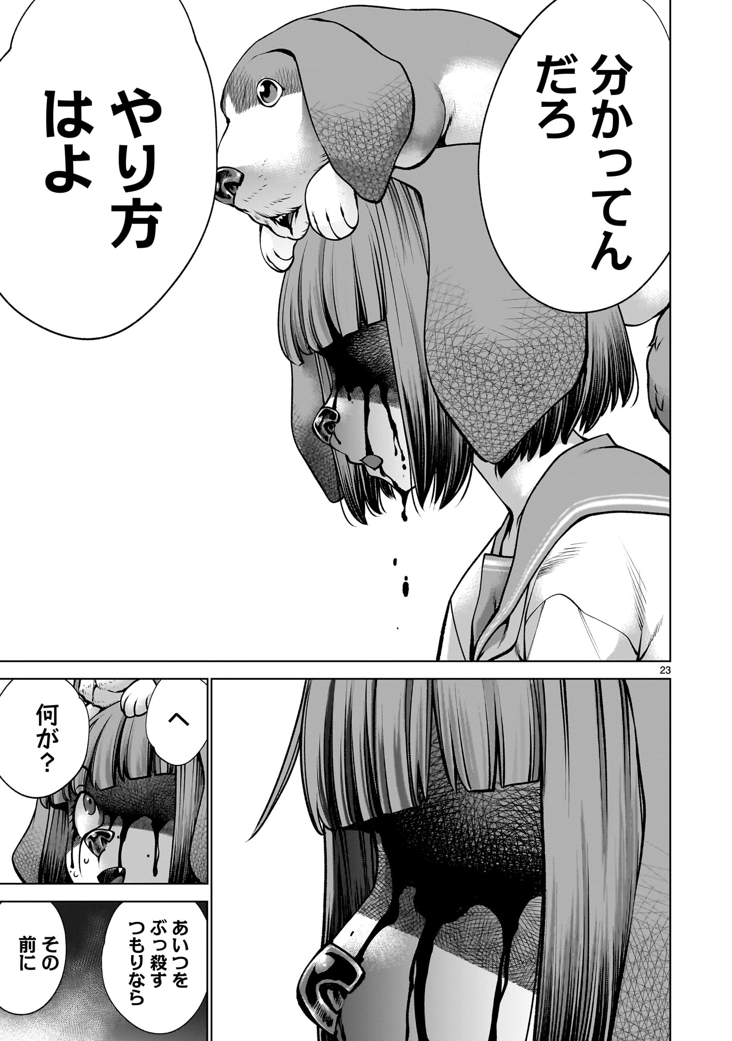 23
