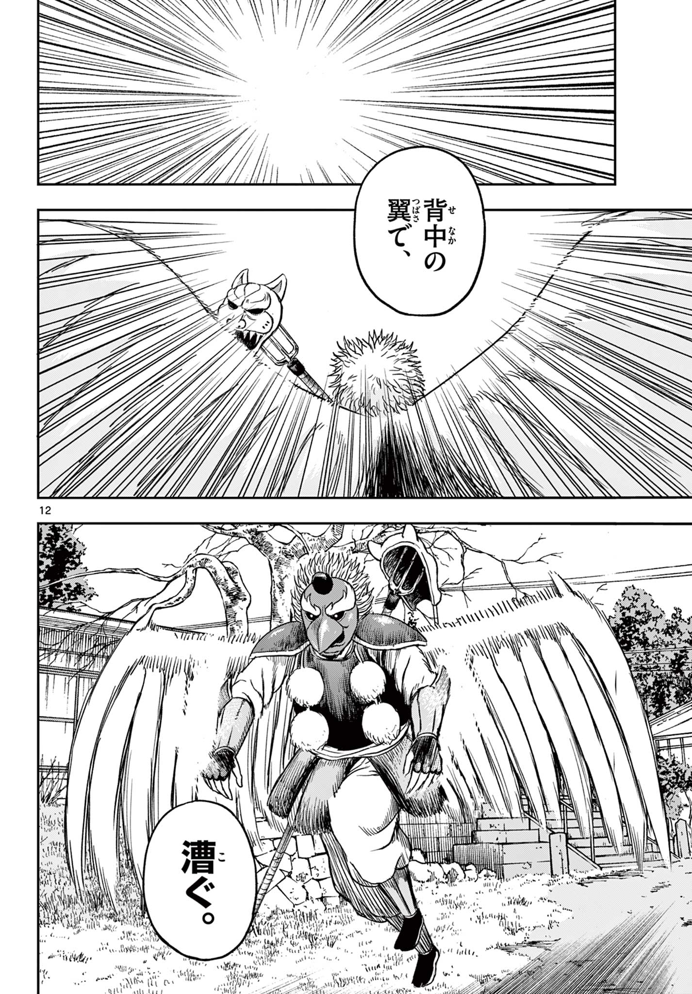 12