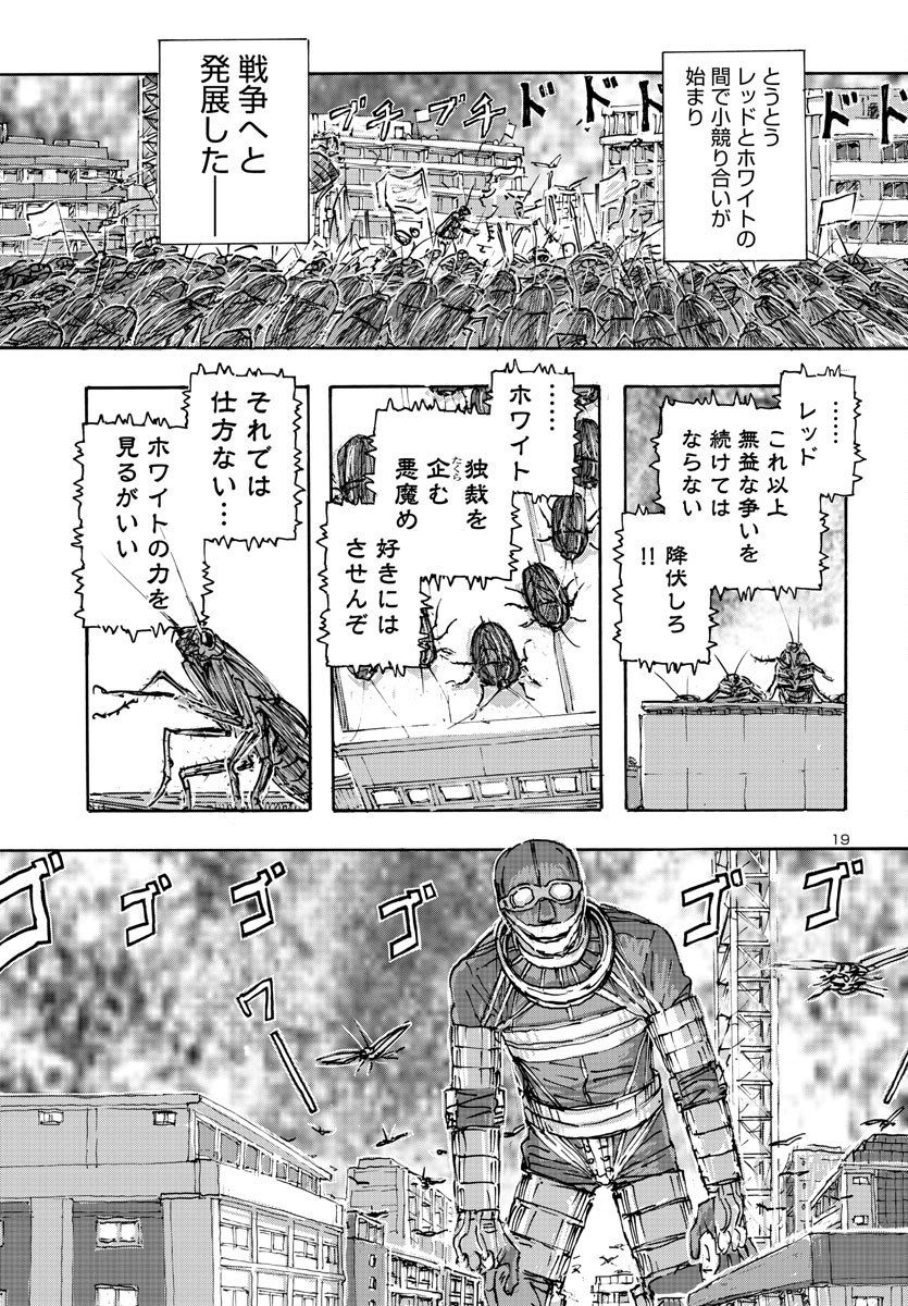 19