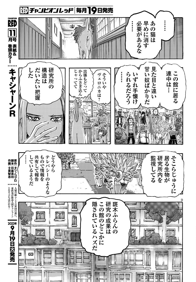 9