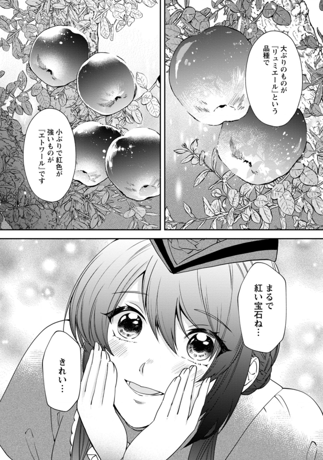AKUYAKU REIJOU WA DANNA-SAMA TO RIEN GA SHITAI! SUKI KATTE YATTEITA NO NI NAZE KA “OU TAISHIHI NO KAN” NANTE YOBARETE IRU NO DES Chapter 9.2 - Page 6