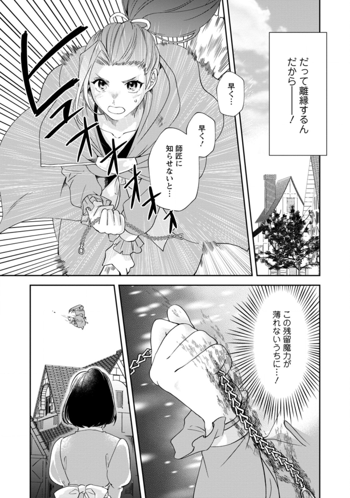 AKUYAKU REIJOU WA DANNA-SAMA TO RIEN GA SHITAI! SUKI KATTE YATTEITA NO NI NAZE KA “OU TAISHIHI NO KAN” NANTE YOBARETE IRU NO DES Chapter 9.3 - Page 10