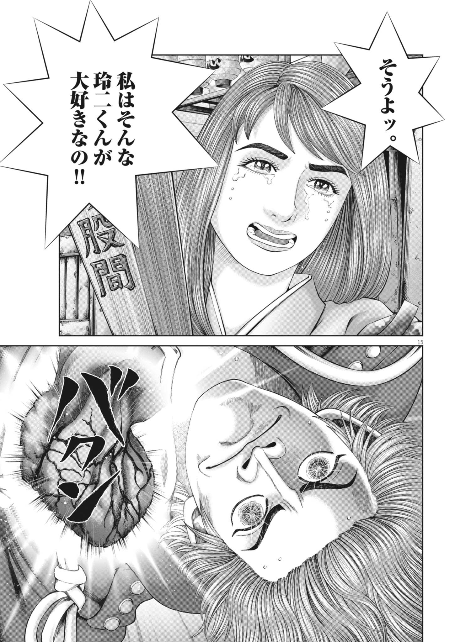 15.jpg