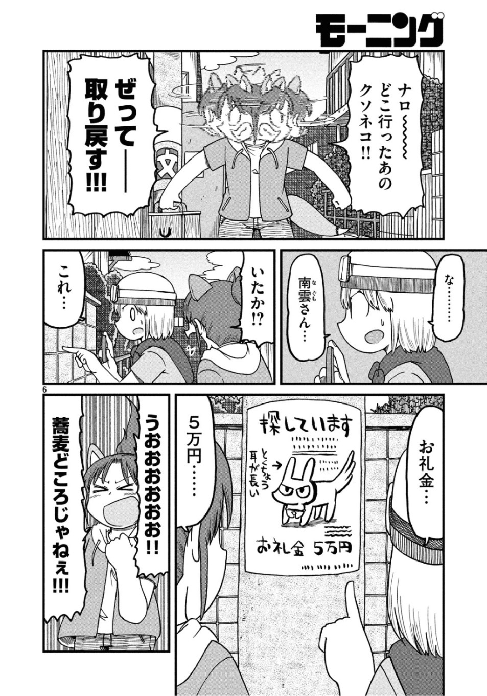 6.jpg