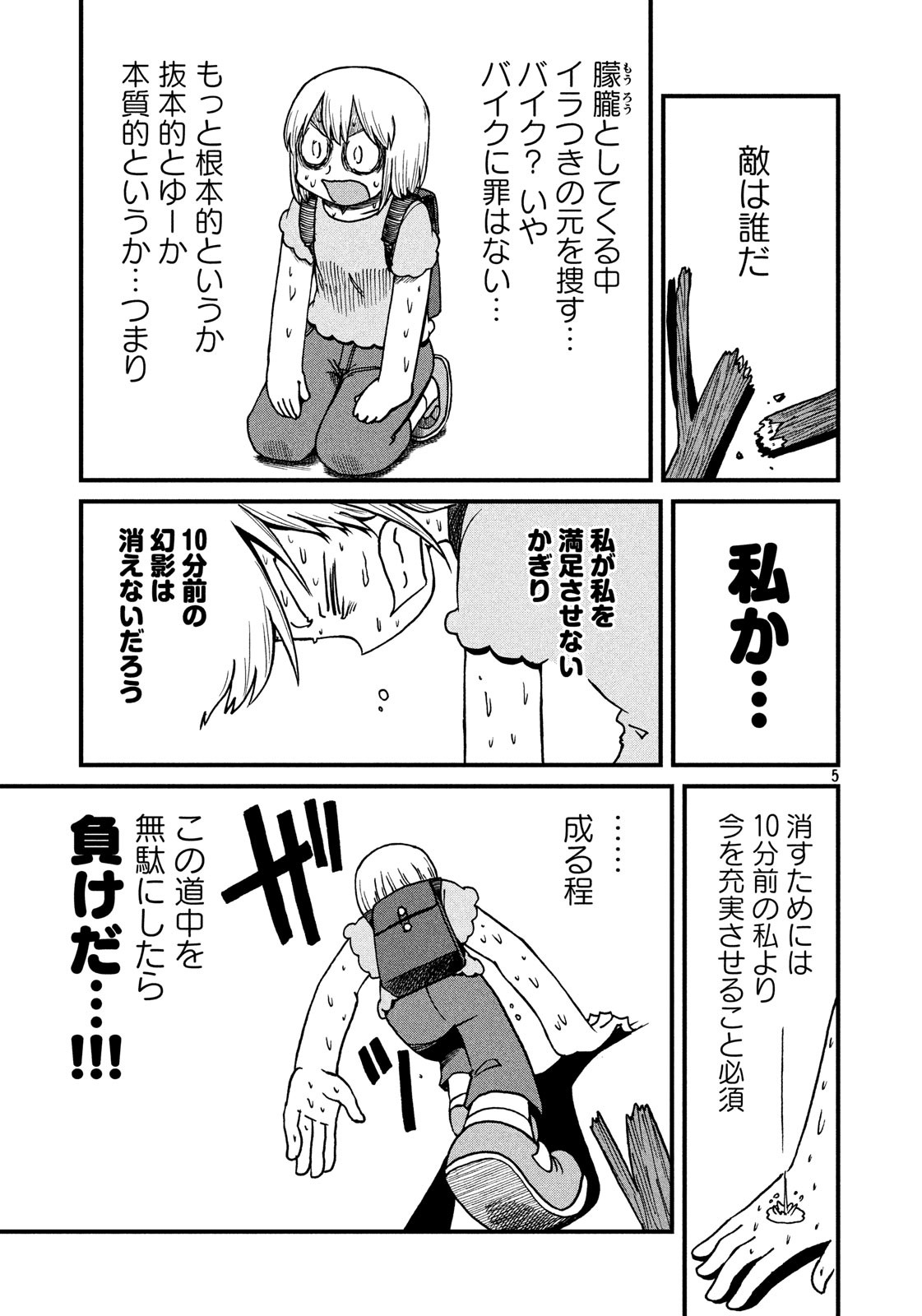 5.jpg