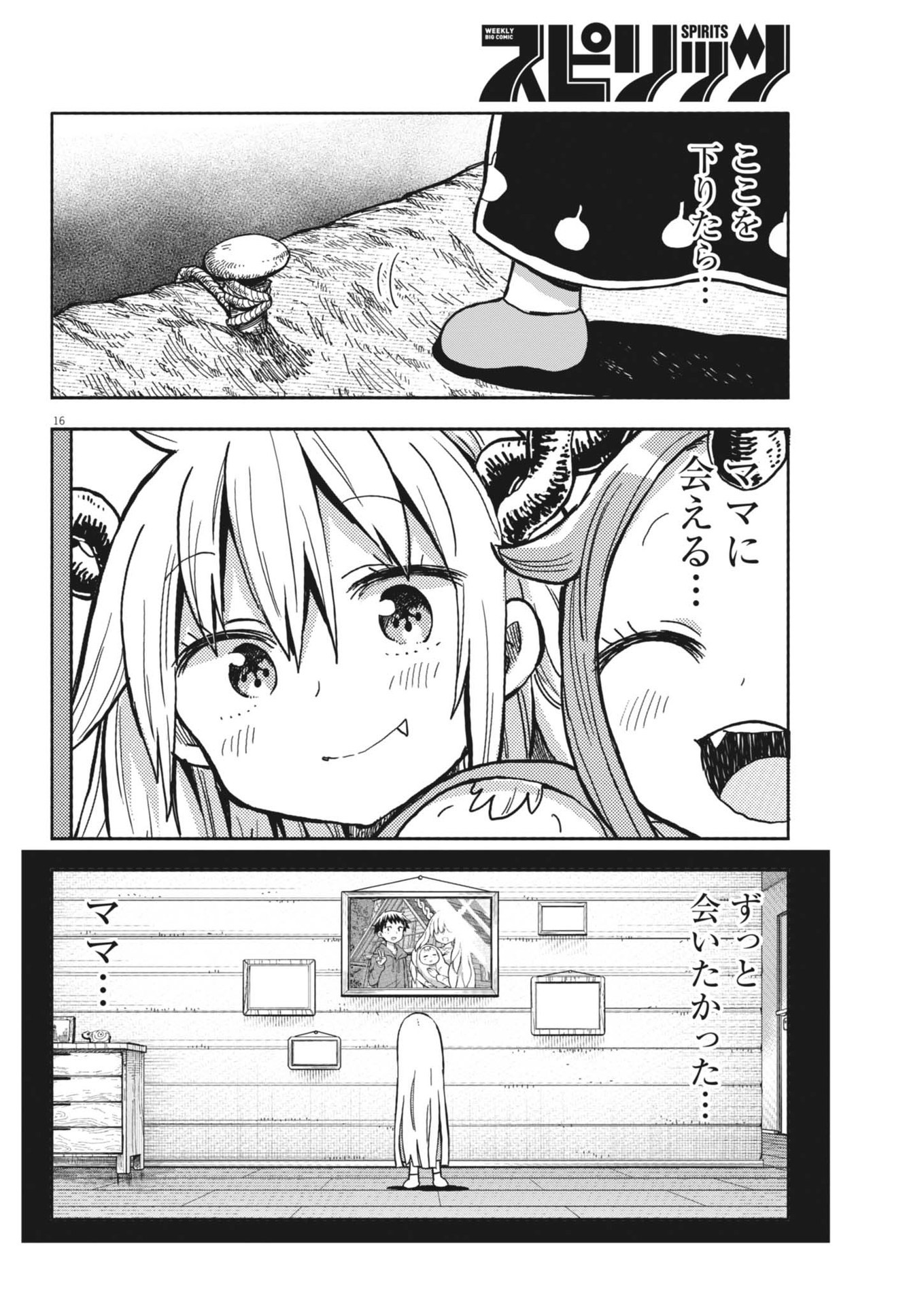 16.jpg