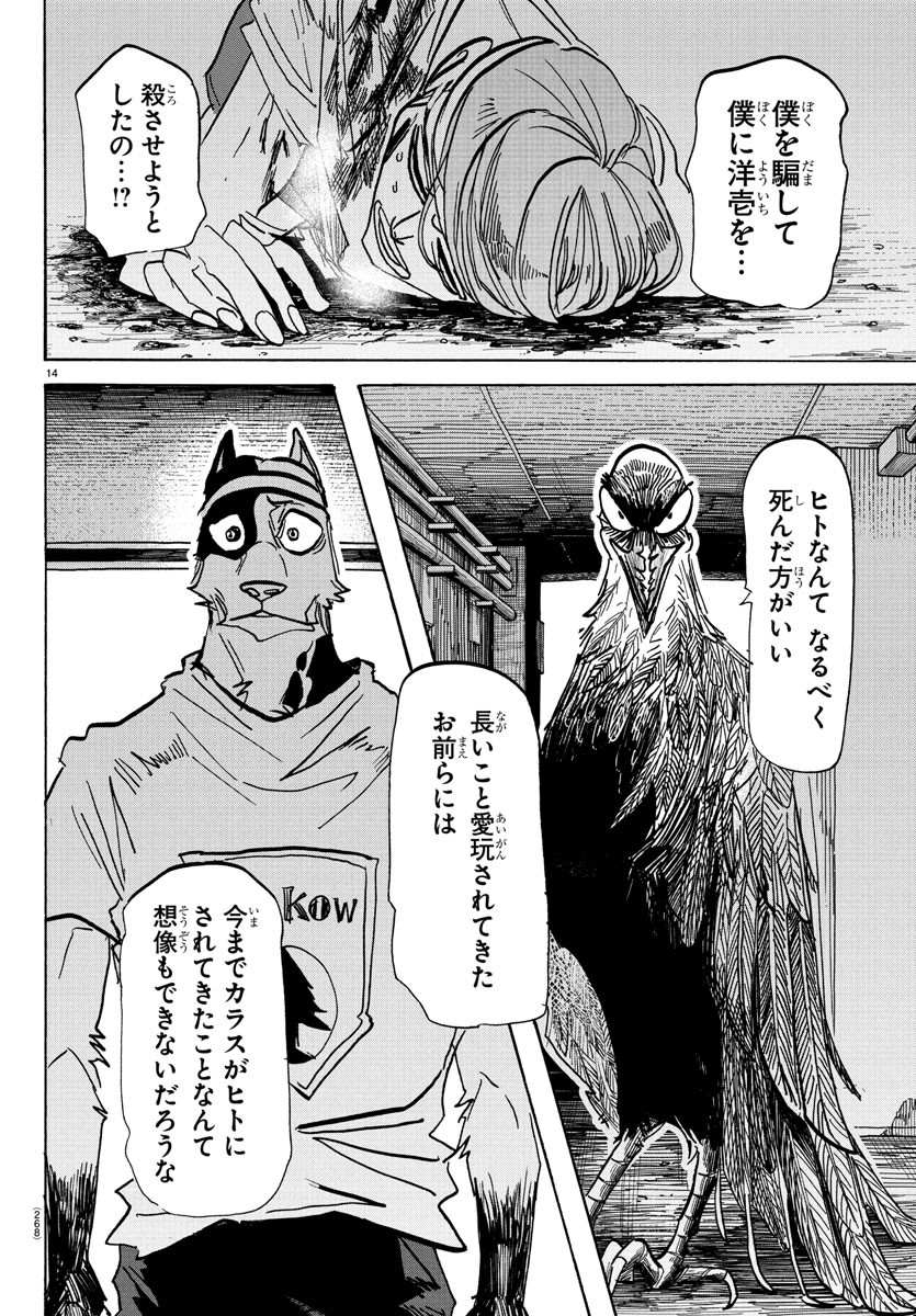 14