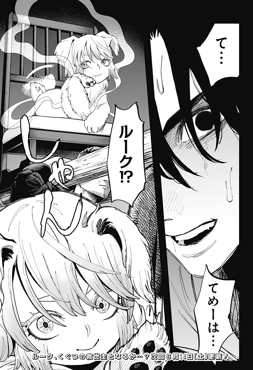 23