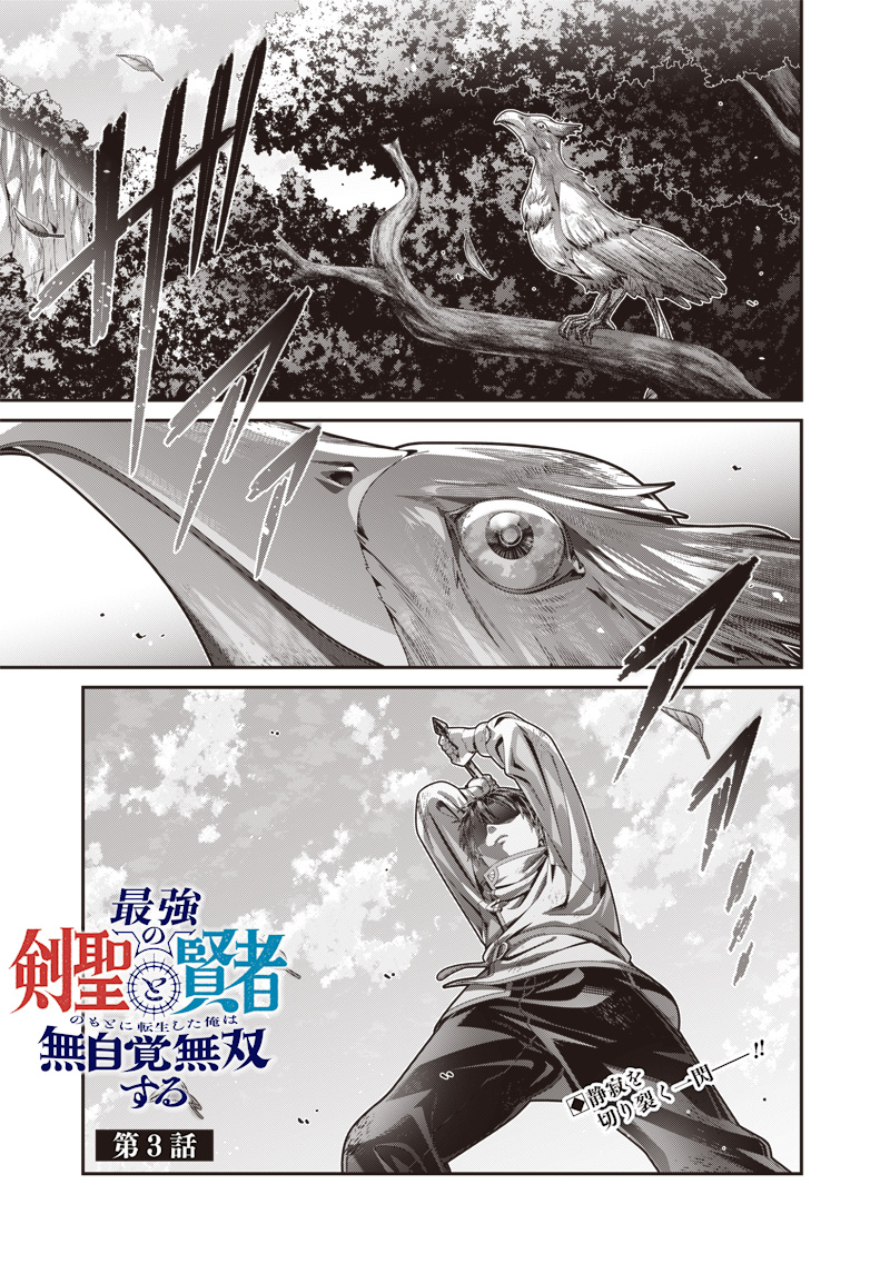 SAIKYOU NO KENSEI TO KENJA NO MOTO NI TENSEI SHITA ORE WA MUJIKAKU MUSOU SURU Chapter 3.1 - Page 1