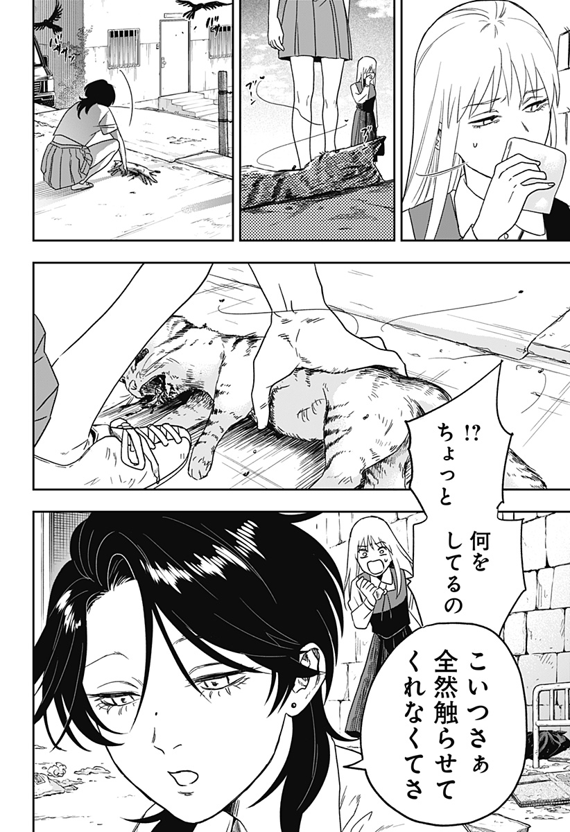 23