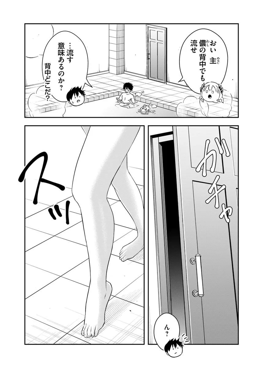5.jpg