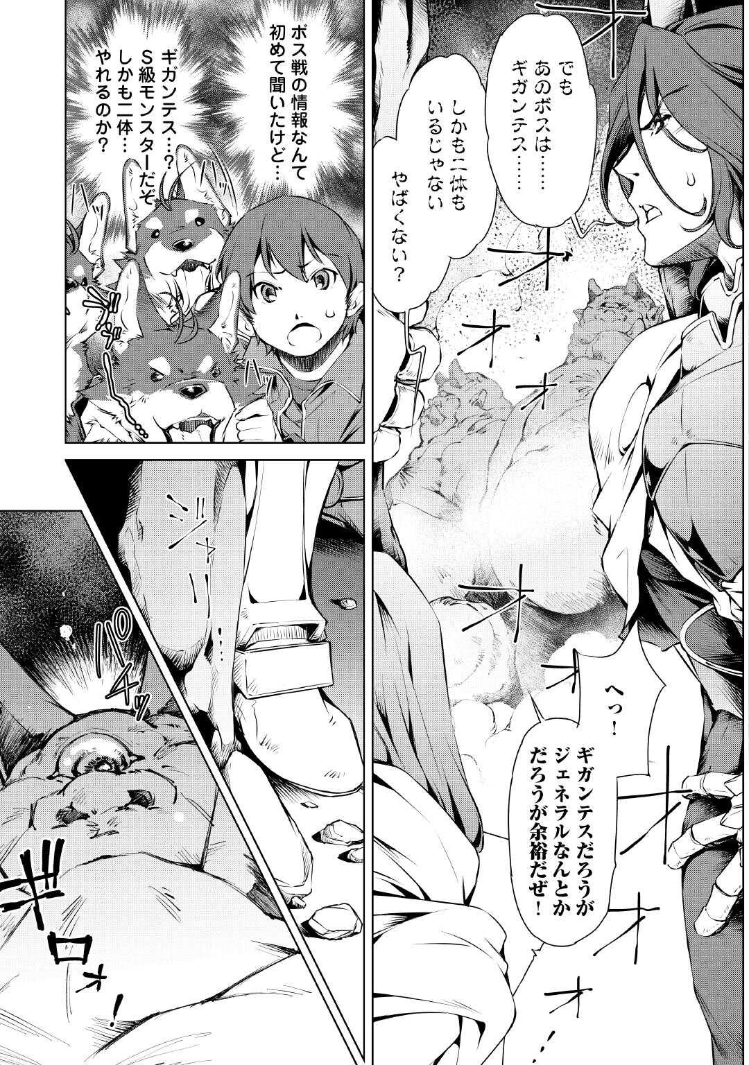 SUTERARE ZATSUYO TEI MADESUGA, SHINRABANSHO WO SUBETE MO IDESU KA? KAKUSEI SHITANODE SAIKYO PET TO KONDO KOSO TANOSHIKU SUGOSHIT Chapter 1 - Page 25
