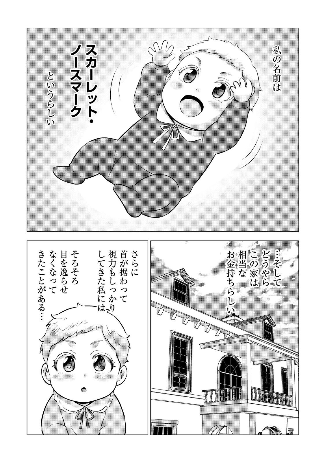 DAI MADOUSHI TO YOBARETA KOUSHAKU REIJOU: SEKAI GA KITANAI NO DE SOUJI SHITEITA DAKE NAN DESU KEDO… RAW Chapter 1 - Page 13