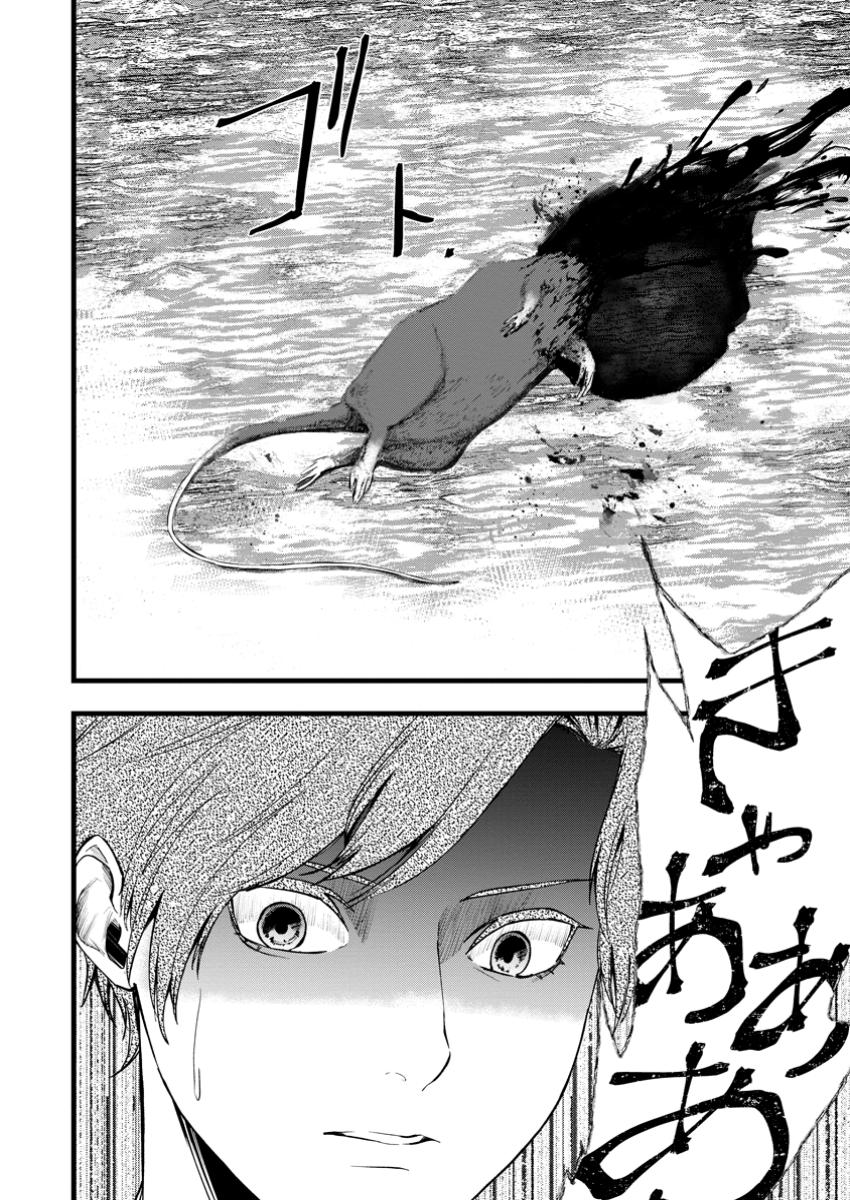 DOKUZU NA KAZOU TO WAKARERU HOUHOU TENSAI NO ANE WA JITSU WA DAME ONNA. MUNOU TO IWARETA IMOUTO WA KYUUKOKU NO MADOUSHI DATTA Chapter 17.3 - Page 10
