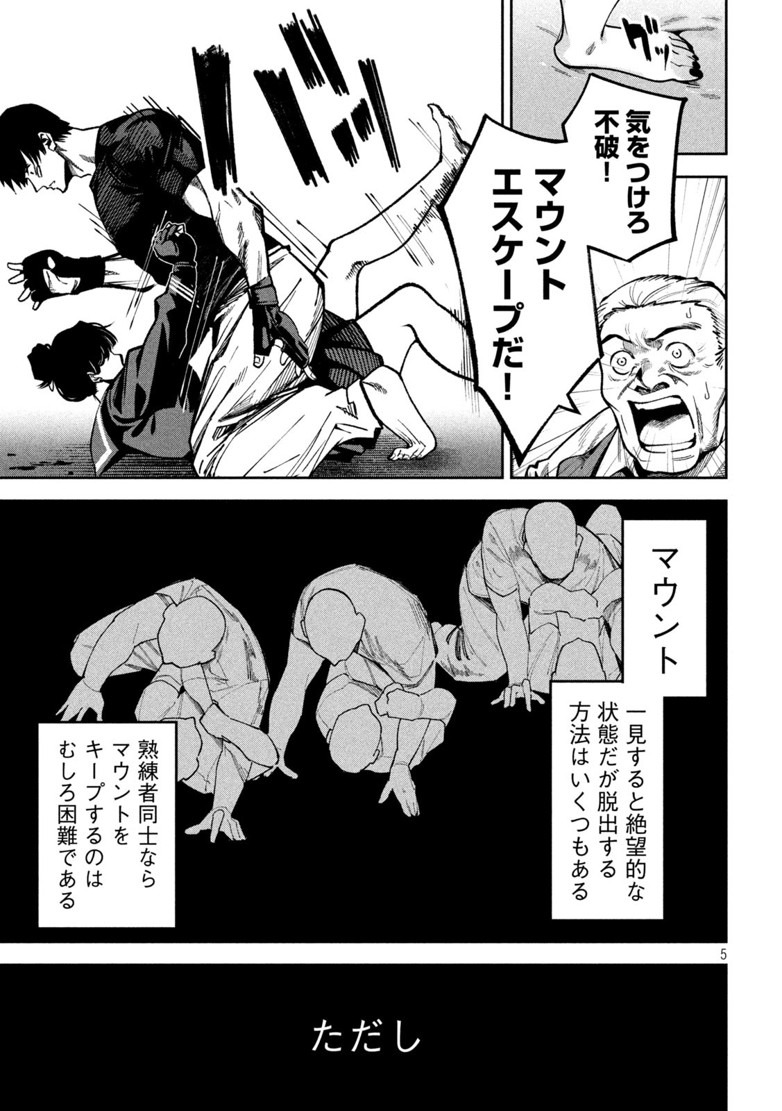 5.jpg