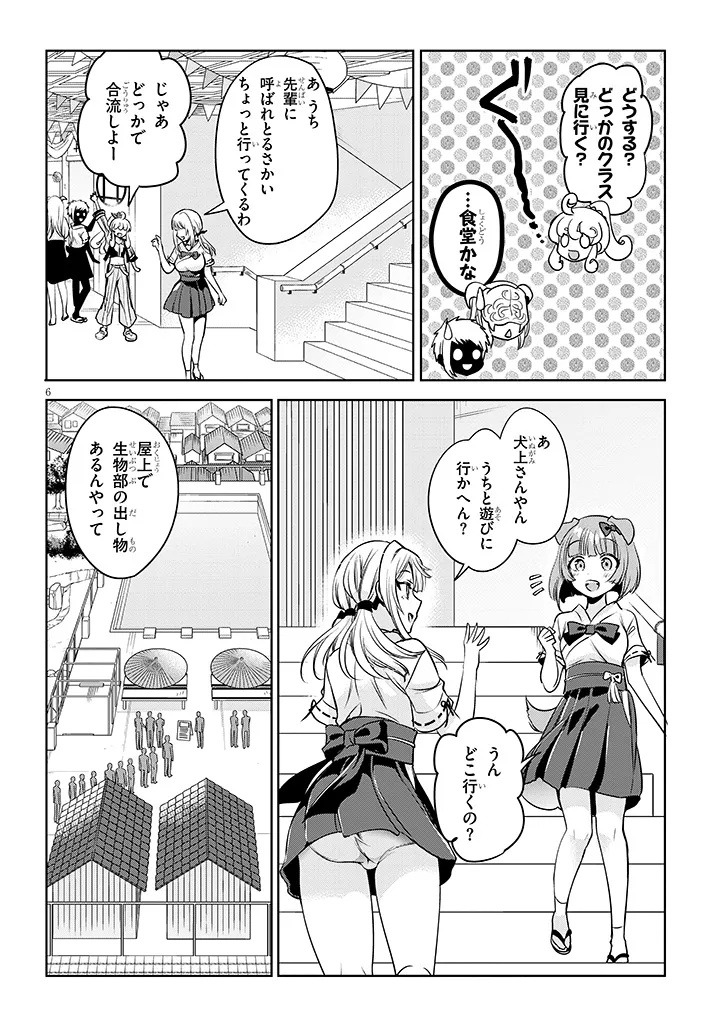 6