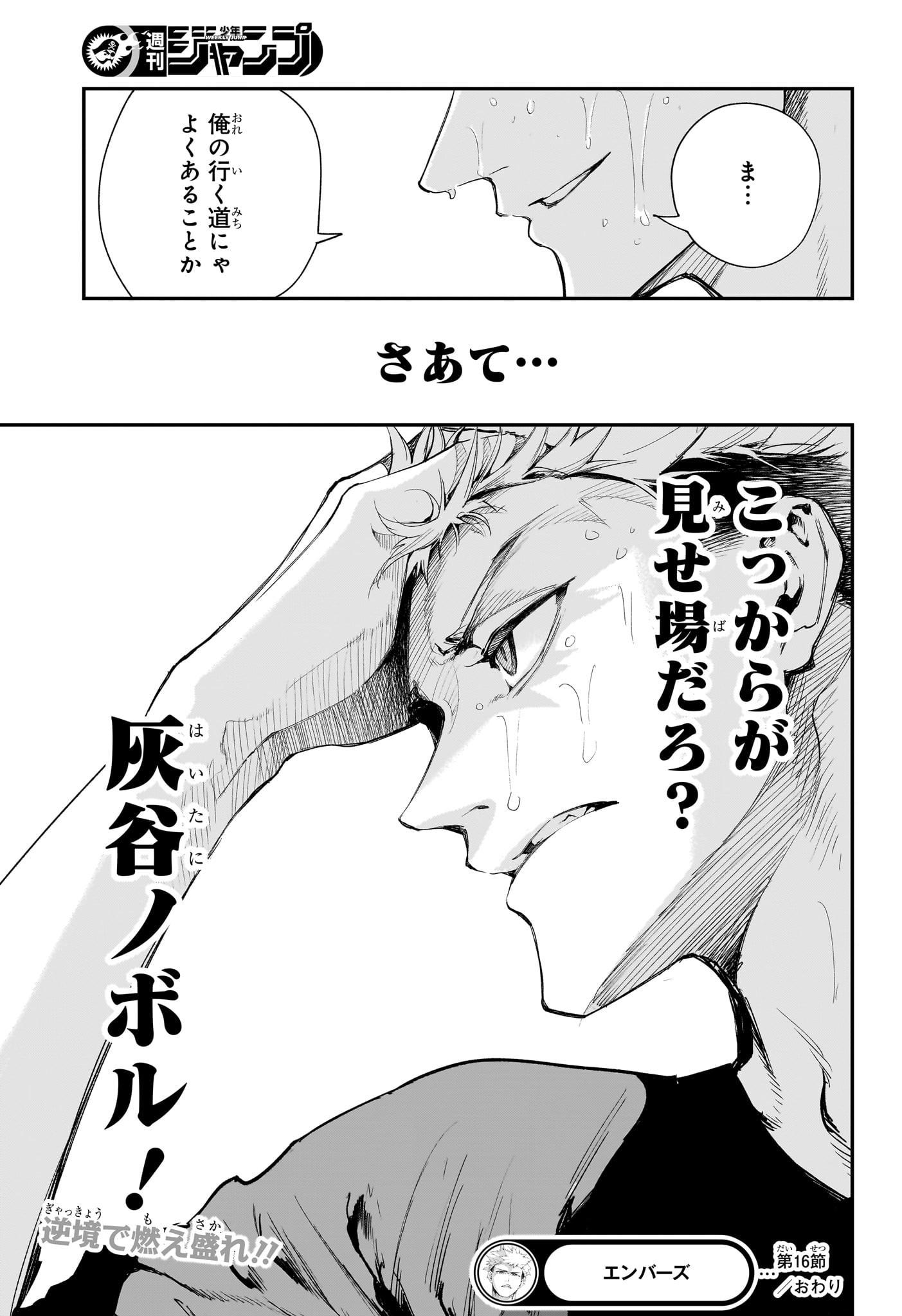 19.jpg