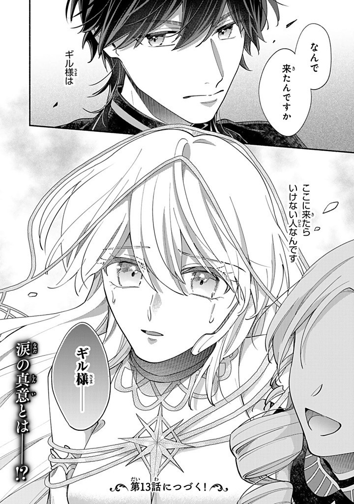 AKUYAKU SEIJO NO YARINAOSHI - ENZAI DE SHOKEISARETA SEIJO WA OSHI NO EIYUU WO SUKUU TAME NI GAMAN WO YAMEMASU Chapter 12.5 - Page 9