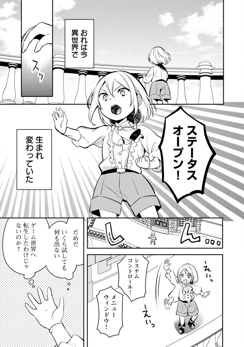 AKUYAKU REIJO NO ANI NI TENSEI SHIMASHITA Chapter 1 - Page 11