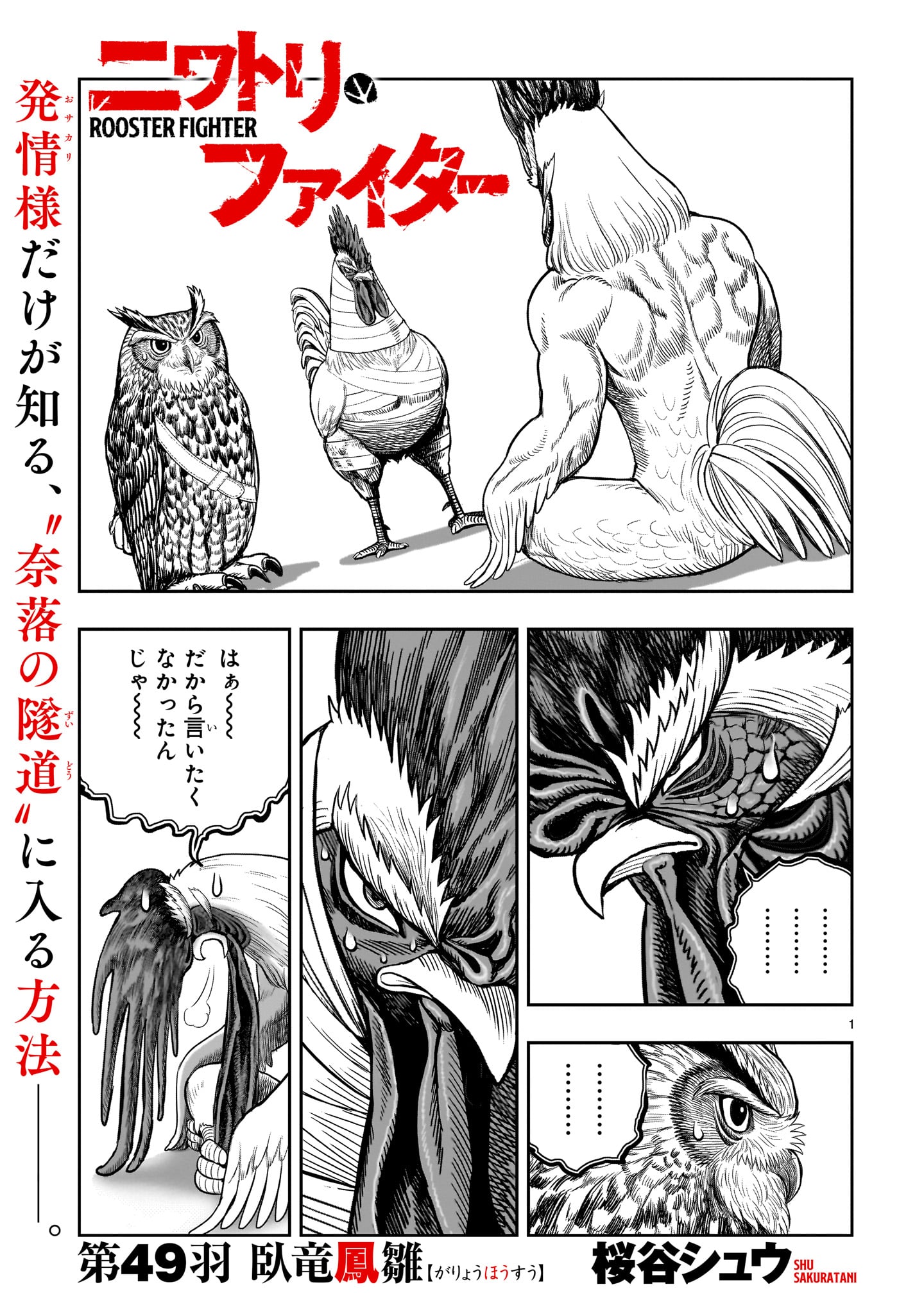 NIWATORI FIGHTER Chapter 49 - Page 1