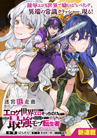 MEIKYUU KYOUSOUKYOKU: EROGE SEKAI NANONI ERO SOCCHINOKE DE HITASURA SAIKYOU WO MEZASU MOB TENSEISHA