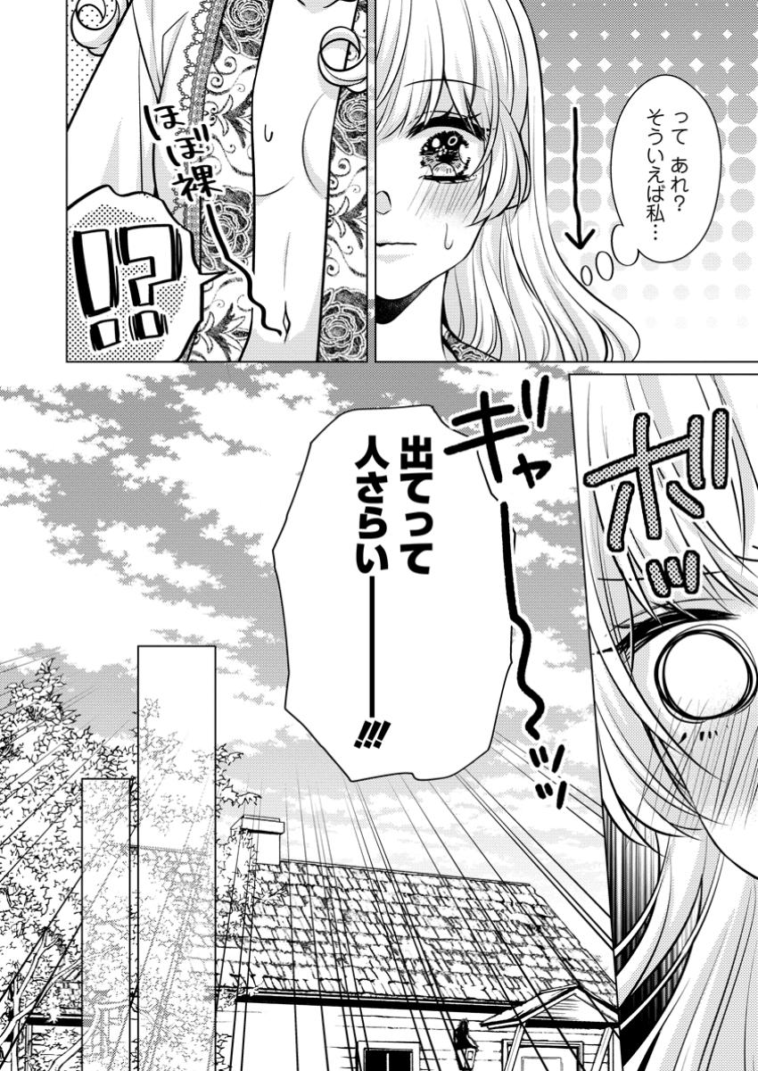 HOSHIKUZU NO HANAYOME WA UNMEI NO KOI KARA NIGEDASHITAI ~ OUJI SAMA TO KYOUSEI KEKKON NANTE MURI!~ RAW Chapter 3.2 - Page 3