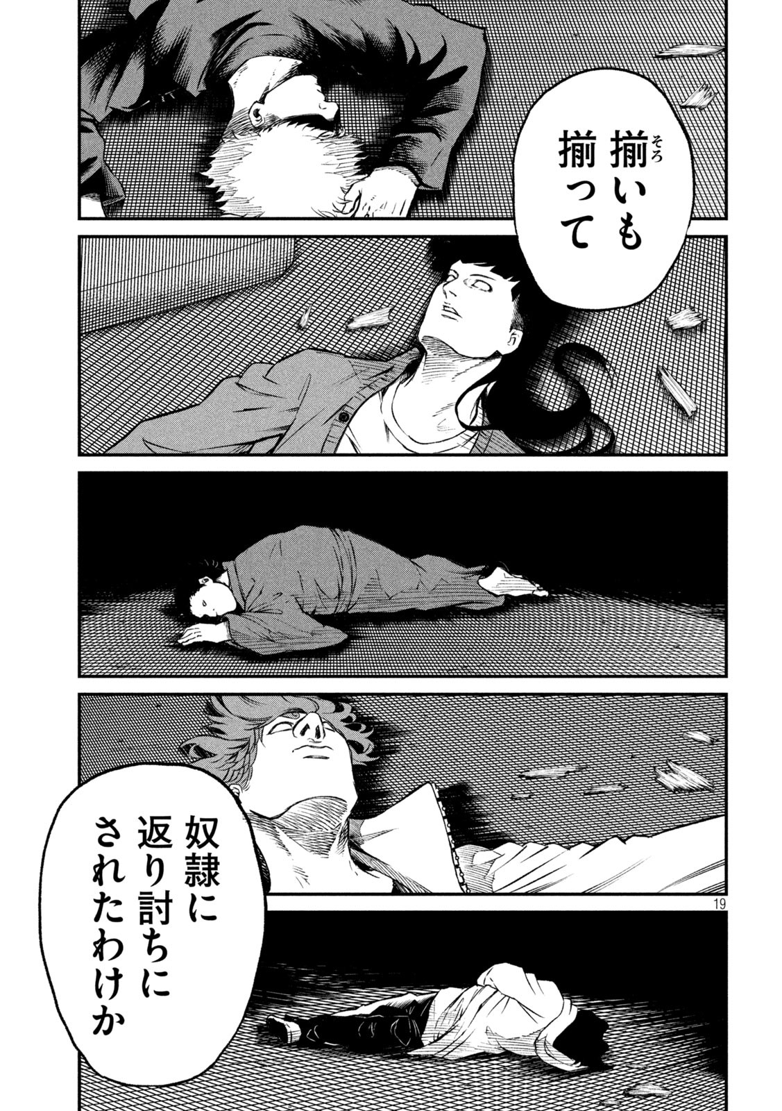 19.jpg