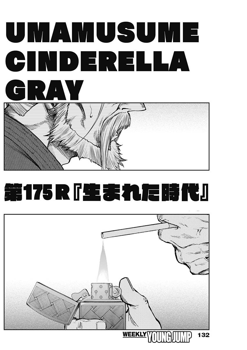 UMA MUSUME CINDERELLA GRAY Chapter 175 - Page 3