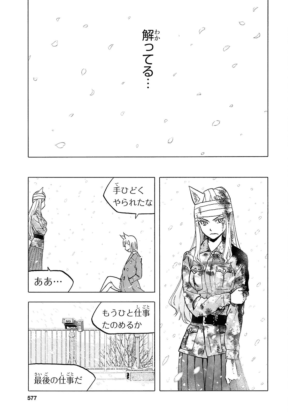 3.jpg